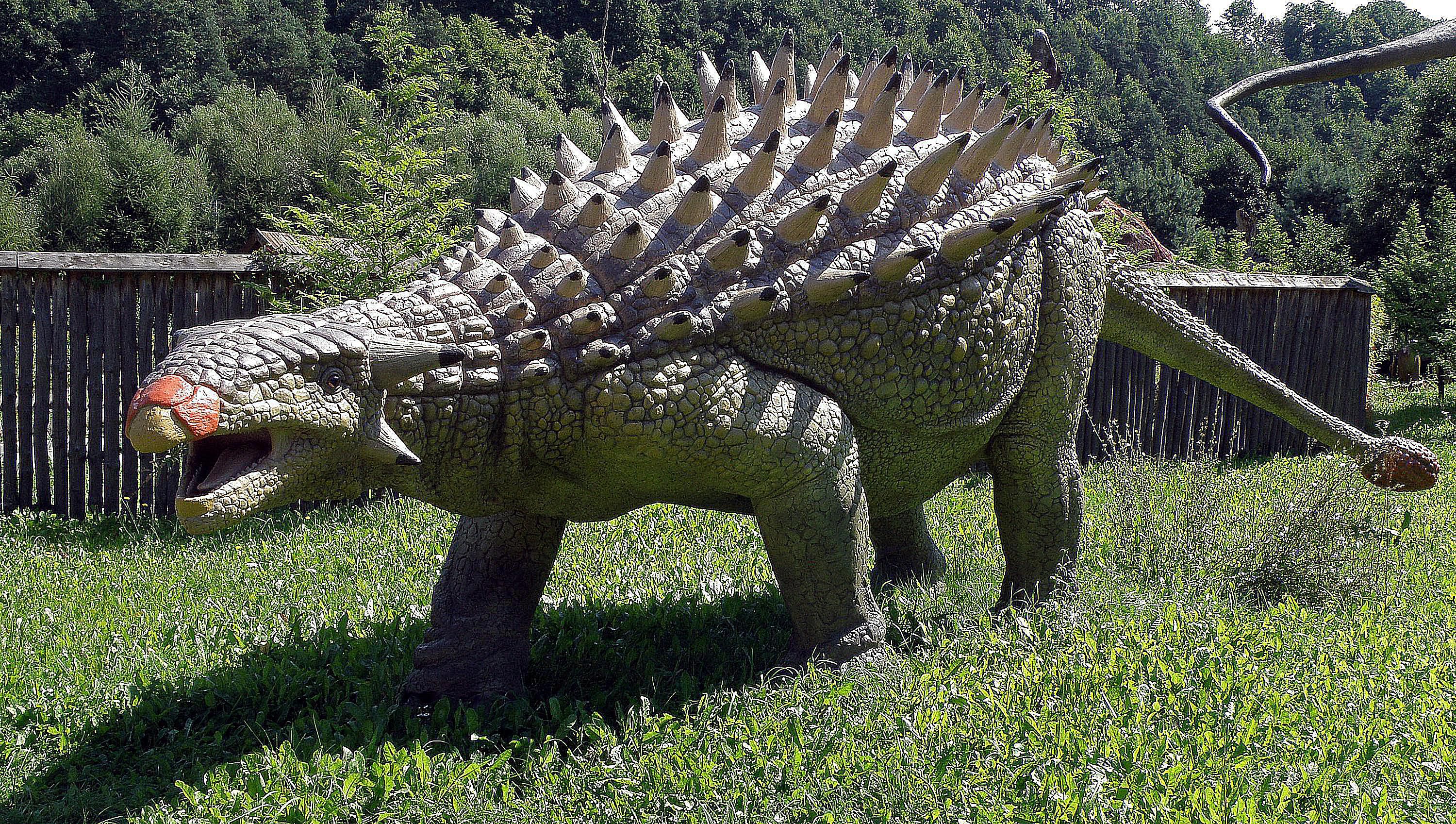 Ankylosaurus