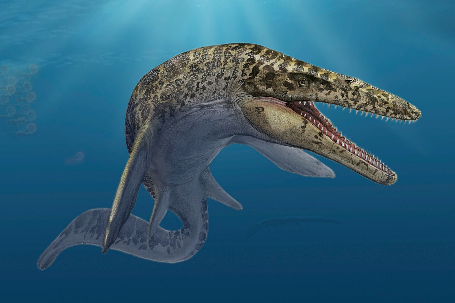 Mosasaurus