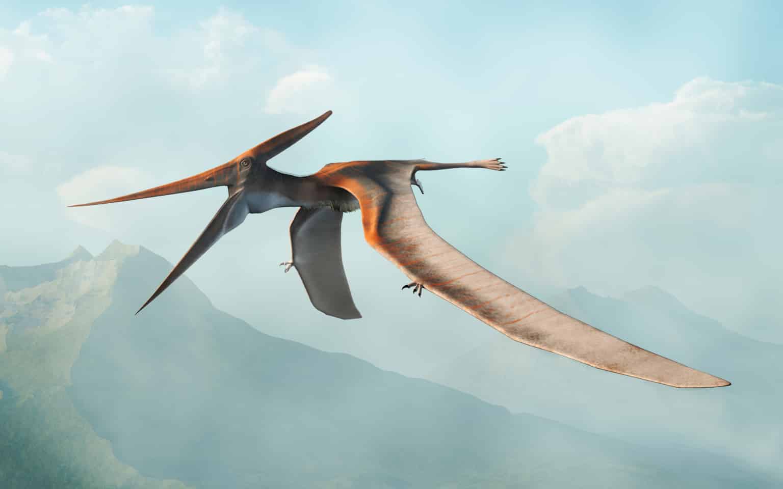 Pteranodon