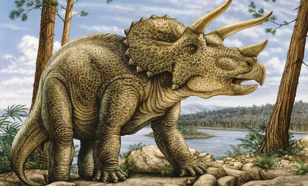 Triceratops